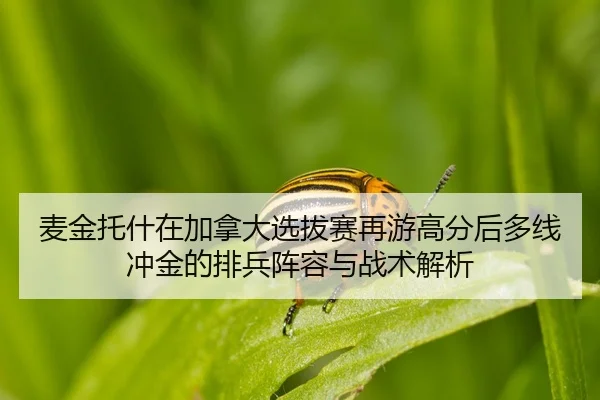 麦金托什在加拿大选拔赛再游高分后多线冲金的排兵阵容与战术解析