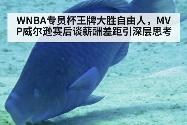 WNBA专员杯王牌大胜自由人,MVP威尔逊赛后谈薪酬差距引深层思考