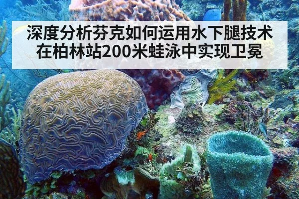 深度分析芬克如何运用水下腿技术在柏林站200米蛙泳中实现卫冕