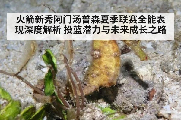 火箭新秀阿门汤普森夏季联赛全能表现深度解析 投篮潜力与未来成长之路